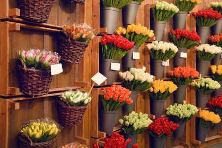 Colorful tulips in Amsterdam flower market. Tulip flowers from Holland for sale, Amsterdam floral market.の写真素材