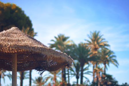 Straw hat, sun glasses on the lounger, near pool. At the background palm trees and mountains. The best rest, sunburn, sunny day, travel, paradise. First minut.の写真素材