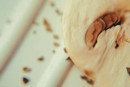 Mushrooms on the electric grill. Beautiful macro mushroom. Close up toned photo. Beautiful macro...