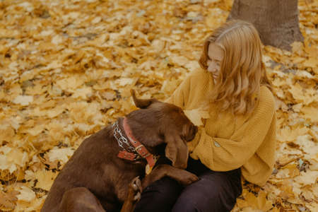 A girl walks with a dog in the park. A woman lies in the autumn leaves and walks with the dog, walks...