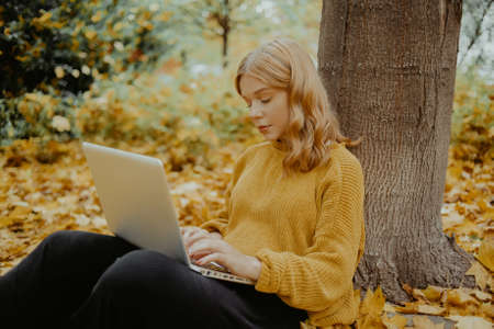 A beautiful girl teenager sits in an autumn park with a laptop. The student studies on the street....