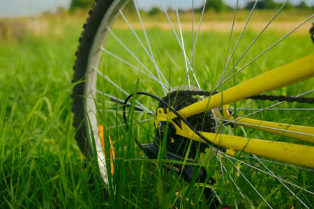 Mountain bike. Wheel on a background of greenery