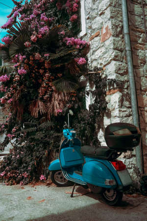 Blue scooter on a background of palm trees and flowers in the yard. Beautiful summer photo for a postcardの写真素材