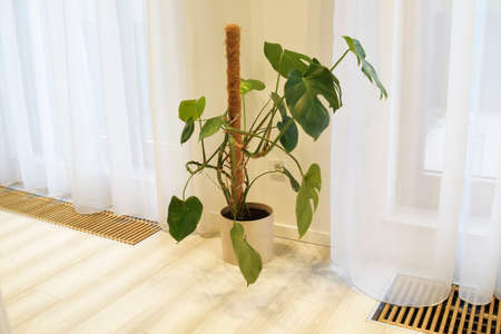 A white curtain flies in the wind. Ventilation and floor heating near the balcony. Insulation in the floorの写真素材