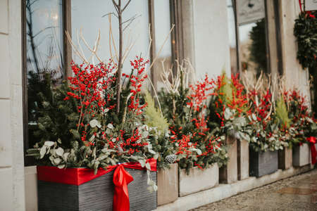 Winter decorations, fir tree, cones and rowan. Decorating houses in the city for the new yearの写真素材
