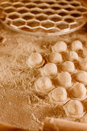 Making homemade dumpling dough. The rolling pin rolls out dough, flour and a mold for dumplings or ravioli. Home cooking food. National cuisine.の写真素材
