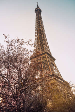 PARIS, FRANCE, March 8, 2022. The Eiffel Tower against a perfectly blue sky. Beauty travel in Paris, touristic placeのeditorial素材