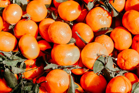 Very bright photo of ripe orange tangerines, fruits, background.の写真素材