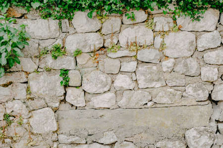 The texture on the background, the stones of them grows greenery.の写真素材