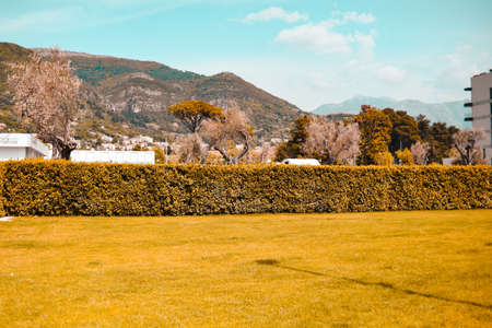 Cities the mountains in autumn. Beautiful clipped grass, landscapeの写真素材