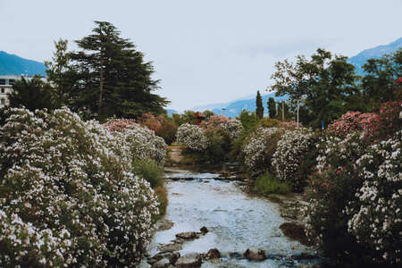 Riva del Garda. mountains beauty and vacation, summer day, travel. Water and lake beauty of nature, relaxion vibeの写真素材