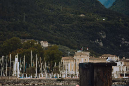 Riva del Garda. mountains beauty and vacation, summer day, travel. Water and lake beauty of nature, relaxion vibeの写真素材