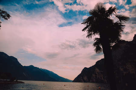 Island and palm trees against the backdrop of sunset, summer and evening beauty rest. Nature and lakeの写真素材