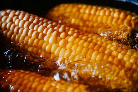 Orange juicy corn is boiled in water with salt. Corn in boiling water in a saucepan. Healthy food and vegetablesの写真素材