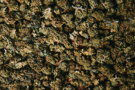 Marijuana cbd and tgc background. Drugs in large quantities, illegal things, medicine.の写真素材