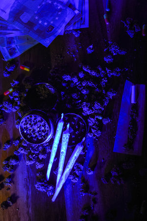 Marijuana buds with drugs, cbd and thc. Grinder and joints, euro money, dollars. Dirty business, dealer house. Blue neon and pills, ecstasy, mdma, amphetamineの写真素材