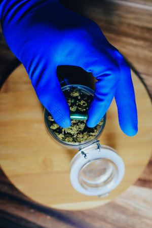 Cones of marijuana in the hands of a doctor. Marijuana pills cbd and thc. Drugs in treatment, medicineの写真素材