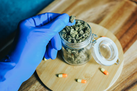 Marijuana in medicine and treatment. Marijuana buds in the hands of a doctor, a pill scientist. Blue gloves hold drugs. Sleeping and relaxing, headaches.の写真素材
