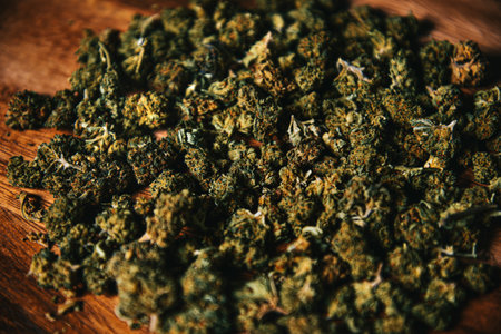 Marijuana cbd and thc lies on the table a lot. Drugs in large quantities, illegal things, medicine.の写真素材
