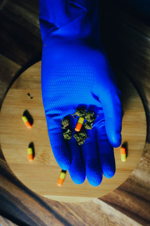Marijuana in medicine and treatment. Marijuana buds in the hands of a doctor, a pill scientist. Blue...