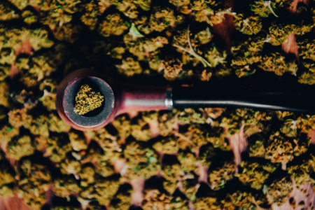 Wooden pipe for smoking marijuana on the table against the background of a buds of cbd sativa or indica tgk. Drugs and medicineの写真素材