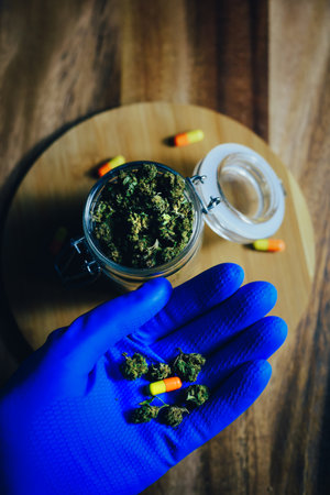 Marijuana in medicine and treatment. Marijuana buds in the hands of a doctor, a pill scientist. Blue gloves hold drugs. Sleeping and relaxing, headaches.の写真素材