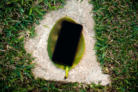 A phone on a leaf of a summer tree, a place for your website and advertising. Summer mocup near greenery and grassの写真素材