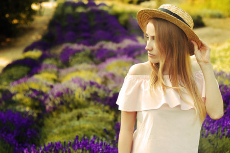 Beautiful girl on the lavender field. Beautiful woman in the lavender field at sunset. soft focus. Provence, France. A girl in pink dress and hat walking trough lavender fields and enjoys natureの写真素材