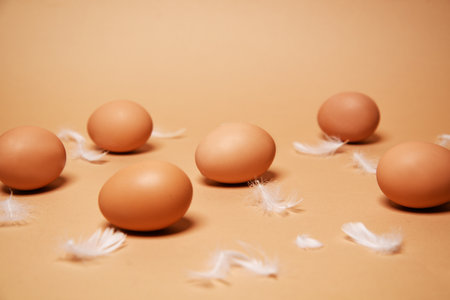 Fresh chicken eggs on a nude background, brown. Eco products from farmers, chicken feathers, food and protein.の写真素材