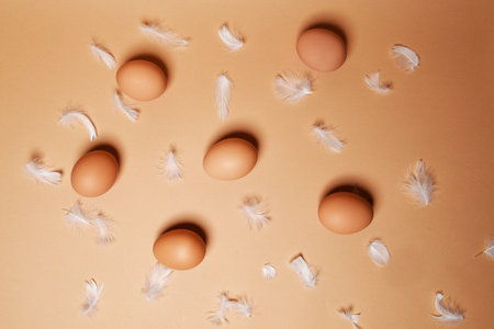 Chicken eggs lie on a gentle nude background, chicken feathers. Boiled or fresh eggsの写真素材