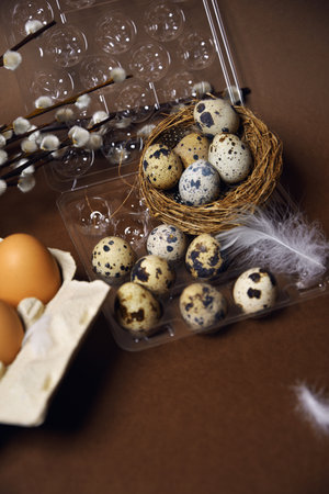 Quail and ordinary eggs in plastic and paper packages, on a brown background, Pussy willow, Easter, chicken feathers. Quail nest with eggs, eco farm, healthy productsの写真素材