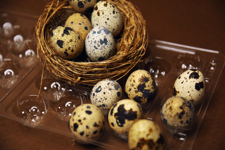 A woman's hand transfers quail eggs from a small nest into a plastic package. Homemade eggs, accessories and food. Eco quail eggs on brown color, farm and quality products.の写真素材