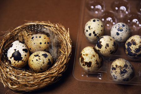 A woman's hand transfers quail eggs from a small nest into a plastic package. Homemade eggs, accessories and food. Eco quail eggs on brown color, farm and quality products.の写真素材