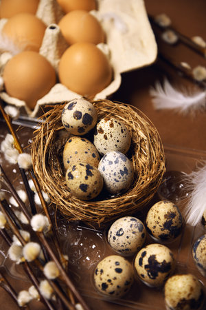 Quail and ordinary eggs in plastic and paper packages, on a brown background, Pussy willow, Easter, chicken feathers. Quail nest with eggs, eco farm, healthy productsの写真素材