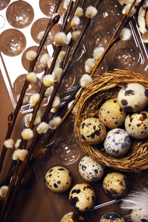 Quail and ordinary eggs in plastic and paper packages, on a brown background, Pussy willow, Easter, chicken feathers. Quail nest with eggs, eco farm, healthy productsの写真素材