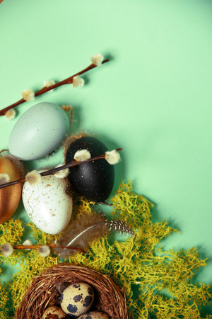 Quail eggs in a nest on natural moss, pussy willow and decorative, painted eggs. Easter celebration, stylish photo on a green background. Place for text, postcardの写真素材