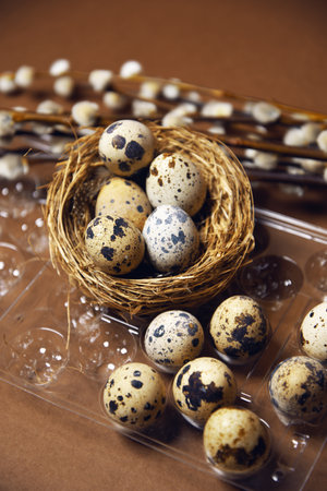 Quail and ordinary eggs in plastic and paper packages, on a brown background, Pussy willow, Easter, chicken feathers. Quail nest with eggs, eco farm, healthy productsの写真素材
