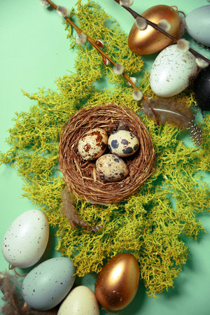 Quail eggs in a nest on natural moss, pussy willow and decorative, painted eggs. Easter celebration, stylish photo on a green background. post cardの写真素材
