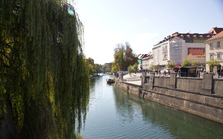 Buildings facing the river in ljubljana with weeping willows on the banks のeditorial素材