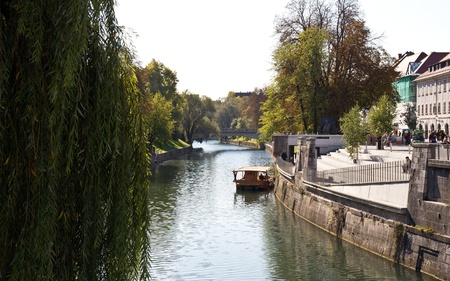 Buildings facing the river in ljubljana with weeping willows on the banks のeditorial素材