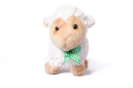 Little Sheep plush soft toy isolated on whiteの写真素材