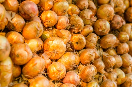 Fresh onions. Onions background. Ripe onions. Onions in market.の写真素材