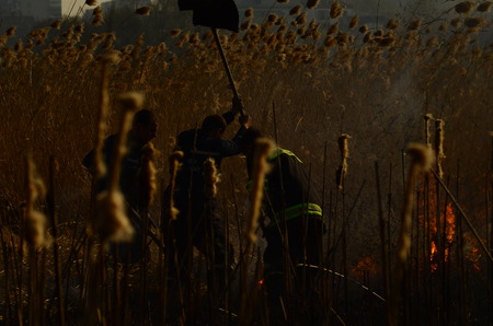 coastal zone of marsh creek, strong smoke from fire of liana overgrowth. Spring fires of dry reeds dangerously approach houses of village by river Cleaning fields of reeds, dry grass. Natural disaster.の写真素材