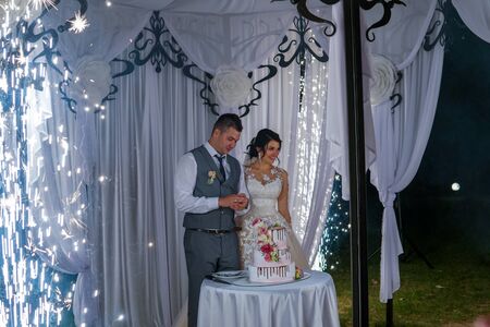 Modern Ukrainian Wedding Kovel Ukraine 08.11.2018のeditorial素材