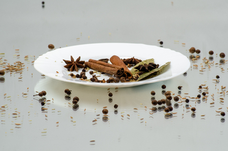 white dish gray background spiceの写真素材