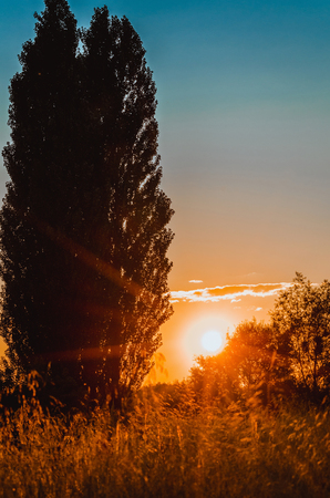 sunsets and sunrisesの写真素材