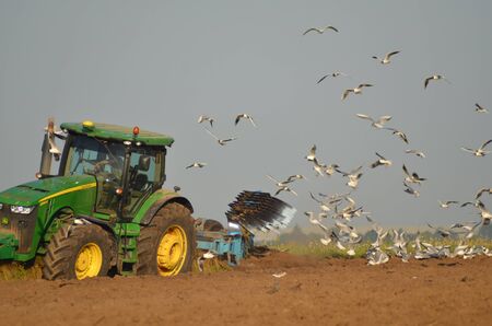 10.07.2017 Lutsk Ukraine Farmer in tractor preparing land with seedbed cultivator as part of pre seeding activities in early spring season of agricultural works at farmlandsのeditorial素材
