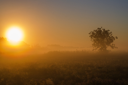 Green Field and Beautiful Sunset.の写真素材