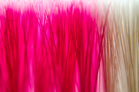 color on the brush pile background.