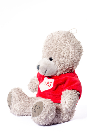Small Grey toy teddy bear soft toyの写真素材